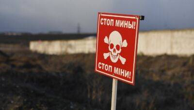 В оккупированном селе на Запорожье двое детей погибли от взрыва российской мины