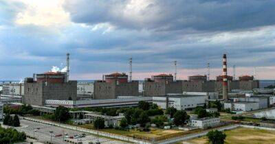 В России по указу Путина занялись "приватизацией" Запорожской АЭС: в ЕС отреагировали