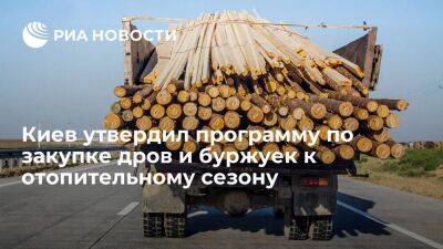 Правительство Украины утвердило программу по закупке дров и буржуек к отопительному сезону