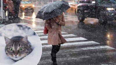 В январе в Украине ударят морозы: синоптики предупредили о -21 градусе