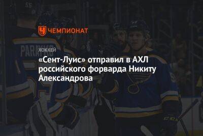 «Сент-Луис» отправил в АХЛ российского форварда Никиту Александрова