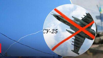 Силы ПВО сбили вражеский беспилотник в Одесской области, а в Николаевской области самолет