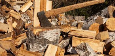 Європейці закупають дрова через дефіцит газу: через це швидко зростають ціни, а також ризики для здоров’я