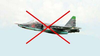 ЗСУ знищили російський літак та дрон-камікадзе на півдні України
