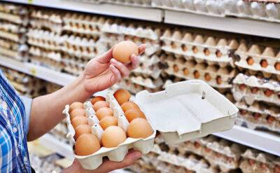 В Україні рекордно подорожчають яйця: аналітик повідомив, скільки коштуватиме десяток до кінця року
