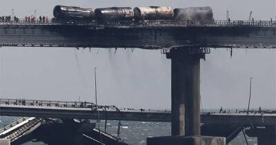 Истребители, водолазы и боевые дельфины: росСМИ рассказали, как охраняют Крымский мост