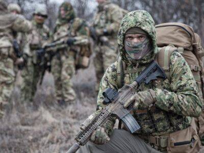 Войска Германии и Литвы проводят совместные учения на восточном фланге НАТО