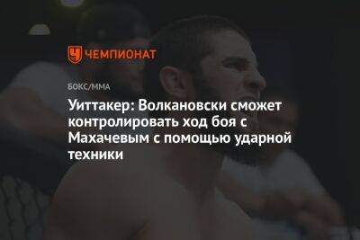 Уиттакер: Волкановски сможет контролировать ход боя с Махачевым с помощью ударной техники
