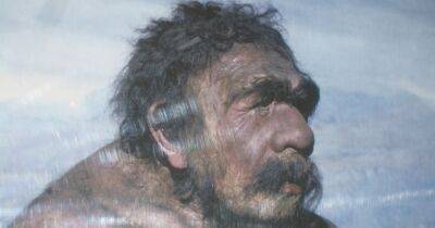 Вымерли из-за секса. Ученые раскрыли новые подробности гибели неандертальцев - focus.ua - Россия - Украина - Лондон