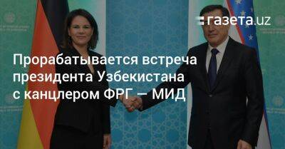 Прорабатывается встреча президента Узбекистана с канцлером ФРГ — МИД