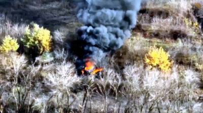 Сечеславские десантники "зажигают" на Луганщине: уничтожена скрытая бронетехника РФ