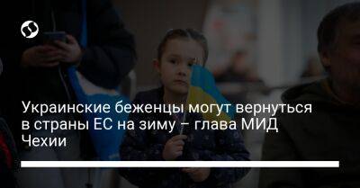 Украинские беженцы могут вернуться в страны ЕС на зиму – глава МИД Чехии