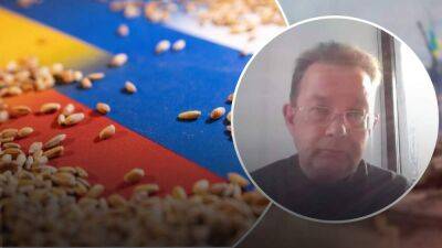 Подписано под давлением Турции: выгодно ли для России было зерновое соглашение