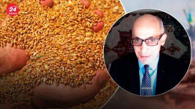 Украина, Турция и ООН приостановили экспорт зерна: что будет делать дальше Россия