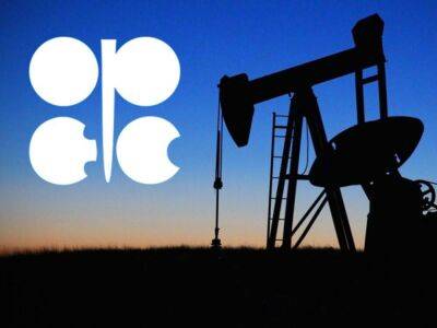 Глава МЭА призвал страны ОПЕК+ пересмотреть решение о сокращении добычи нефти