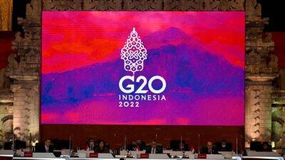 Reuters: делегация России не поедет на саммит G20 в Индонезию