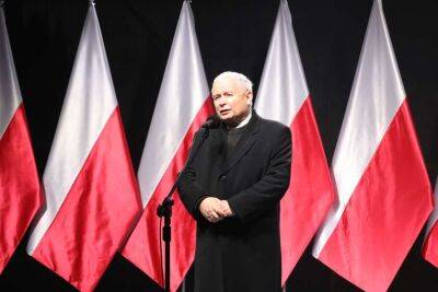 Найвпливовіший політик Польщі пов'язав низьку народжуваність із жіночим алкоголізмом