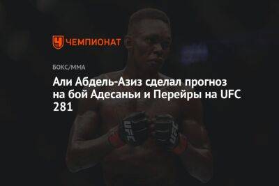 Алексей Перейрой - Али - Али Абдель-Азиз сделал прогноз на бой Адесаньи и Перейры на UFC 281 - championat.com - Бразилия