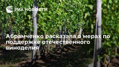 Вице-премьер Абрамченко: власти продолжат поддерживать отечественное виноделие