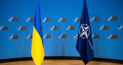 Многие страны НАТО поддержали заявку Украины на вступление в Альянс, — Politico