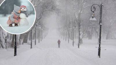Когда в городах Украины выпадет первый снег: прогноз от синоптиков