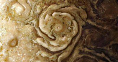 Лучшие изображения Юпитера: космический аппарат "Юнона" прислал новую порцию снимков гиганта (фото)