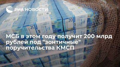 МСБ в этом году получит 200 млрд рублей под "зонтичные" поручительства КМСП
