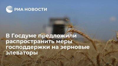 Депутат Госдумы Школкина предложила распространить меры господдержки на зерновые элеваторы