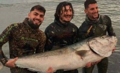 Рыбу весом 55 кг поймали у Ледис Майл