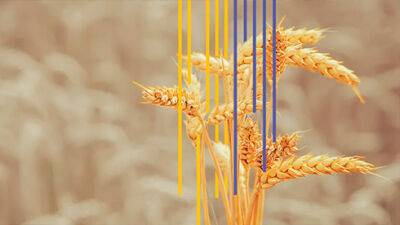 ЄС мобілізує 1 млрд євро на вивезення зерна з України «шляхами солідарності»