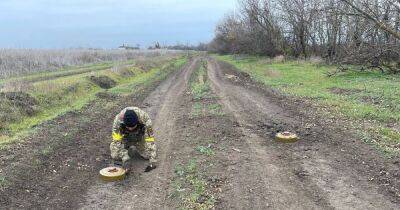 Оккупанты могли заложить фугасы: жителей юга Украины предупредили о минной опасности (фото)