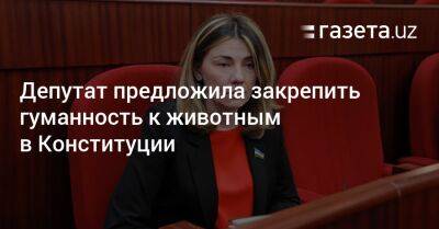 Депутат предложила закрепить гуманность к животным в Конституции
