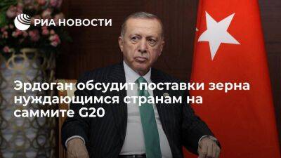 Минсельхоз Турции: Эрдоган обсудит поставки зерна нуждающимся странам на саммите G20