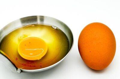 Яйца с дефектами: безопасно ли их есть?
