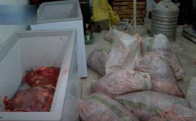 В Ташкент для распространения на рынках пытались ввезти свыше полтонны мяса неизвестных животных