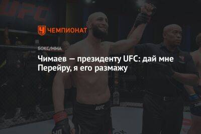 Чимаев — президенту UFC: дай мне Перейру, я его размажу