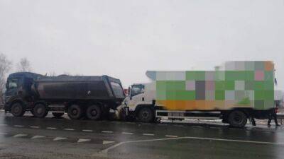 В Новосибирской области «тойоту» смяло между двумя грузовиками, погибли два человека