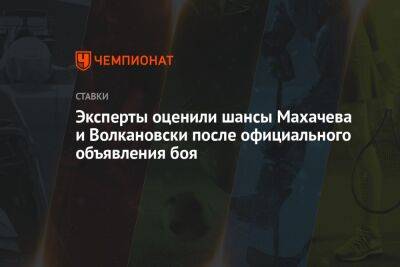 Эксперты оценили шансы Махачева и Волкановски после официального объявления боя