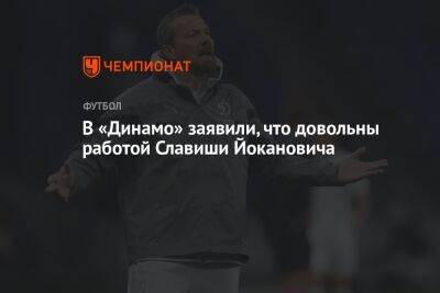 В «Динамо» заявили, что довольны работой Славиши Йокановича