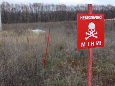 При разминировании в Херсонской области погиб украинский сапер, еще четверо получили ранения – Зеленский