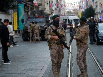 Правоохранители задержали предполагаемого виновника теракта в Стамбуле