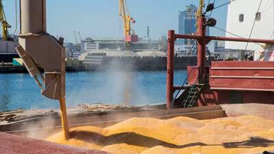 Вісім суден доправлять українське зерно до Ємену, Іспанії, Оману, Китаю, Німеччини, Італії та Нідерландів