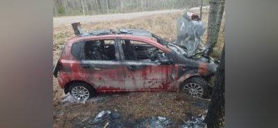 Автомобиль загорелся после столкновения с деревом в Тверской области