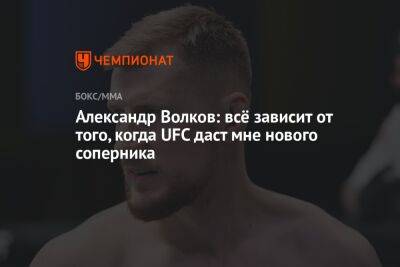 Александр Волков: всё зависит от того, когда UFC даст мне нового соперника