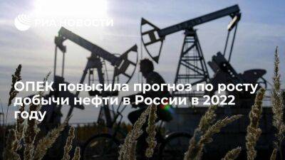 ОПЕК повысила прогноз по росту добычи нефти в России до 133 тысяч баррелей в сутки