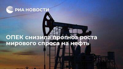 ОПЕК снизила прогноз роста мирового спроса на нефть по итогам 2022 года