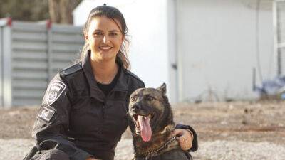 Отличный нюх: овчарка Бритни помогла полицейским найти оружие на севере Израиля