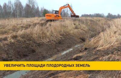 В Беларуси ежегодно будут вводить в севооборот около 100 тыс. га мелиорированных земель