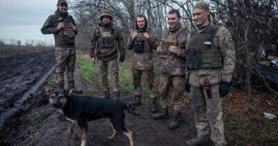 ВС РФ обустраивают оборонные рубежи на левом берегу Днепра и наступают в Бахмуте, – Генштаб