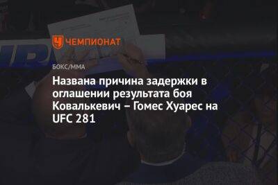 Названа причина задержки в оглашении результата боя Ковалькевич – Гомес Хуарес на UFC 281